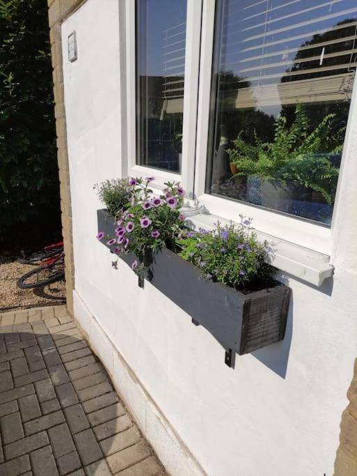 The Old Bar In Wiltshire - 1 Bedroom Guesthouse Chippenham  Exterior foto